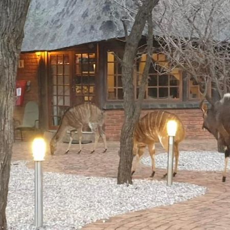 Makhato Bush Lodge 3 贝拉贝拉 外观 照片