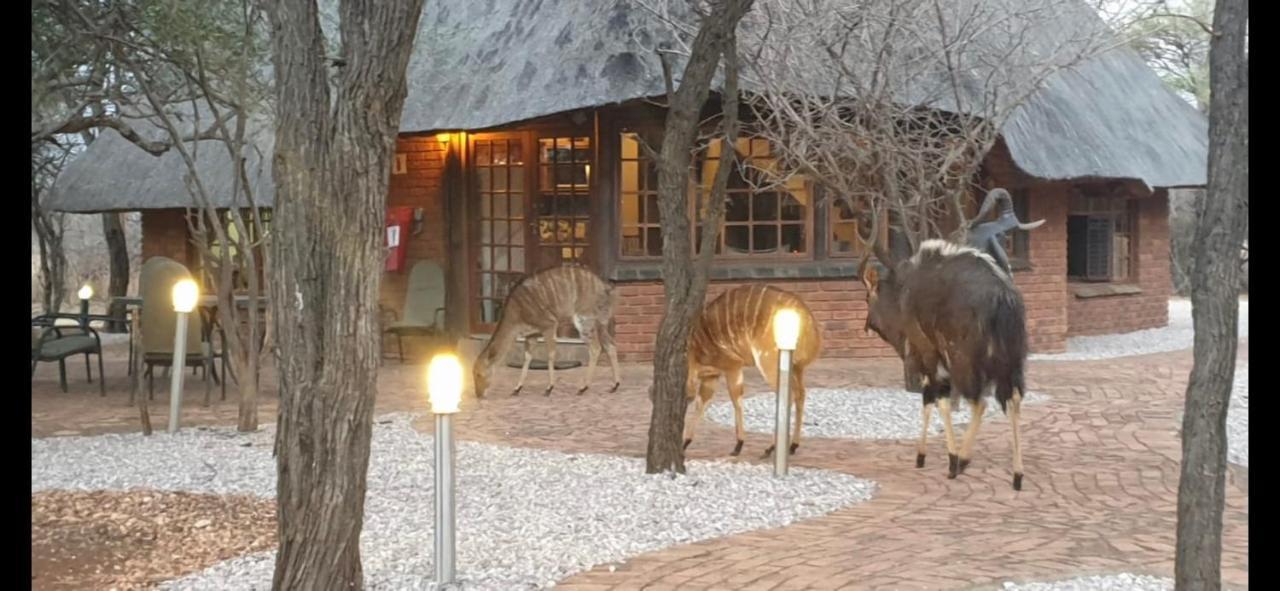 Makhato Bush Lodge 3 贝拉贝拉 外观 照片