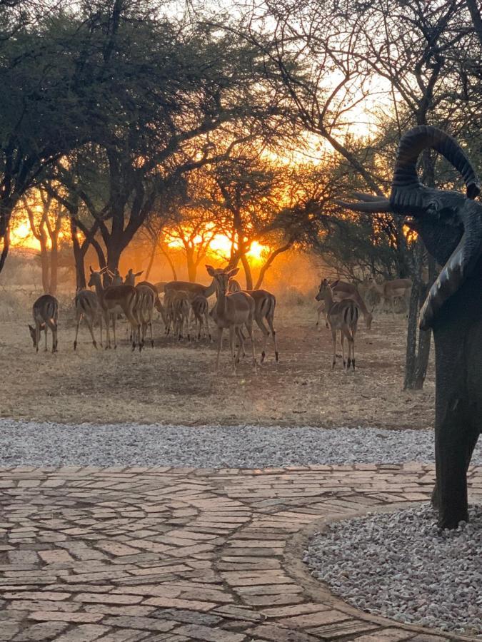Makhato Bush Lodge 3 贝拉贝拉 外观 照片